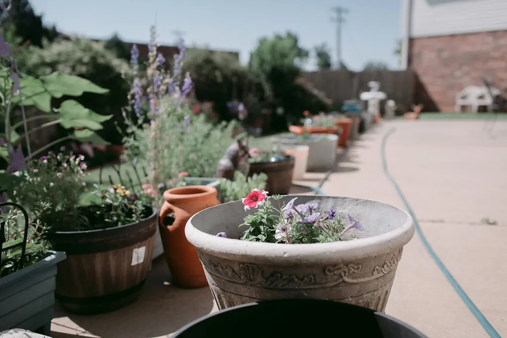 Heritage outdoor patio with umbrella tables, fountain, bird feeders, and resident gardens