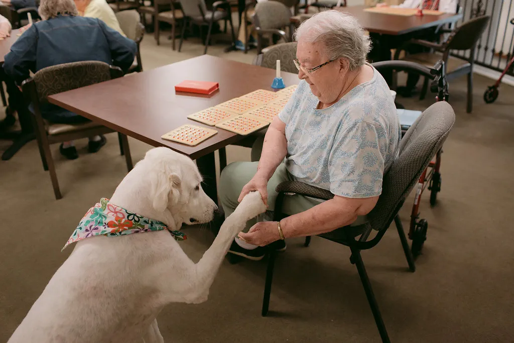 Older adults spending time together in a comfortable community setting